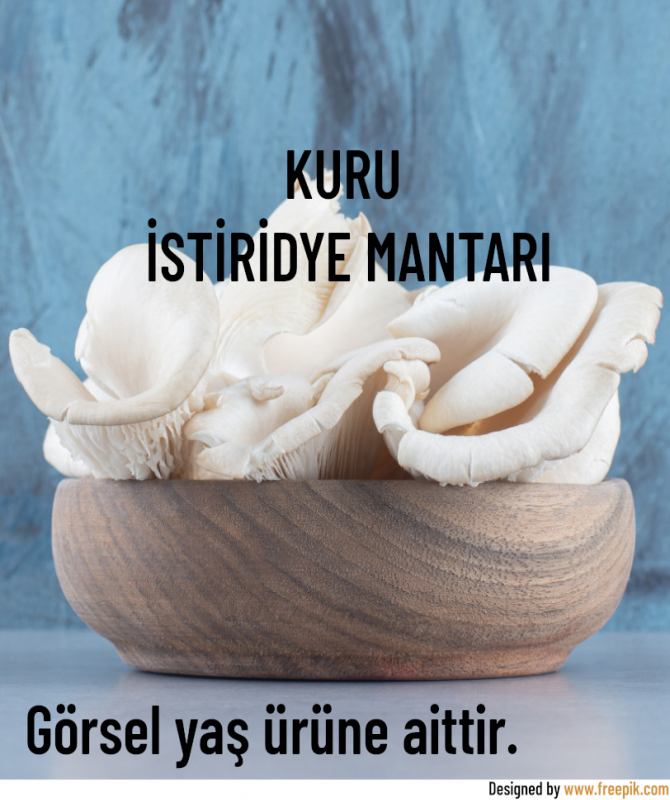 Kuru İstiridye Mantarı